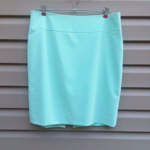 Vince Camuto Sz 12 Mint Green Skirt